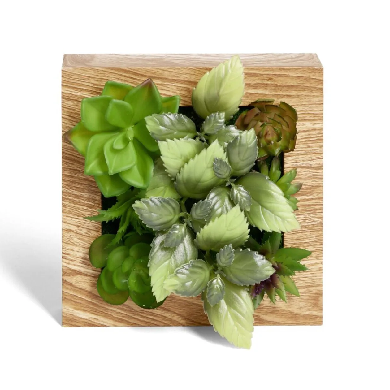 Plante artificielle décoration murale cadre bois naturel 20x20cm