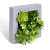 Plante artificielle décoration murale cadre bois gris 20x20cm < Gifi Best