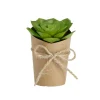 Plante artificielle en pot kraft succulente Ø5xH12cm - 3 modèles