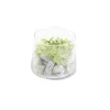 Plante artificielle grasse en pot rond 9,8xH8,2cm