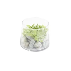 Plante artificielle grasse en pot rond 9,8xH8,2cm
