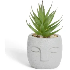 Plante artificielle pot ciment forme visage Ø6,5xH9cm (plusieurs modèles) < Gifi Discount