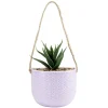 Plante artificielle pot céramique avec corde < Gifi Outlet