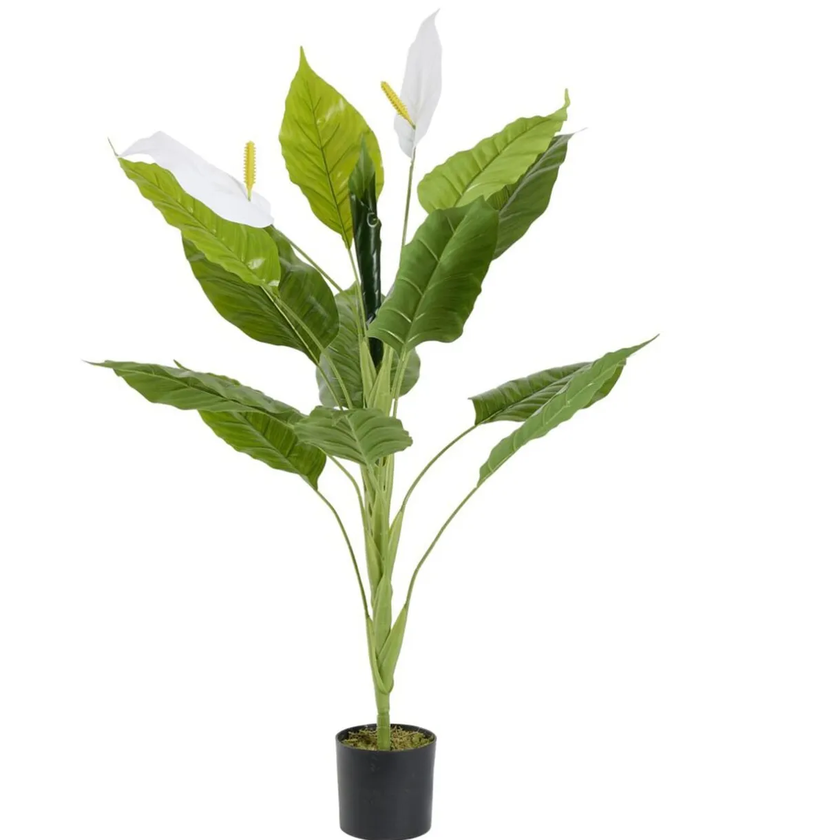 Plante artificielle spathiphyllium vert Ø30xH90cm < Gifi New