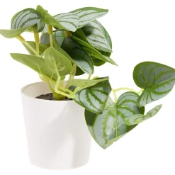 Plante artificielle verte dans pot Ø6xH13cm < Gifi Clearance