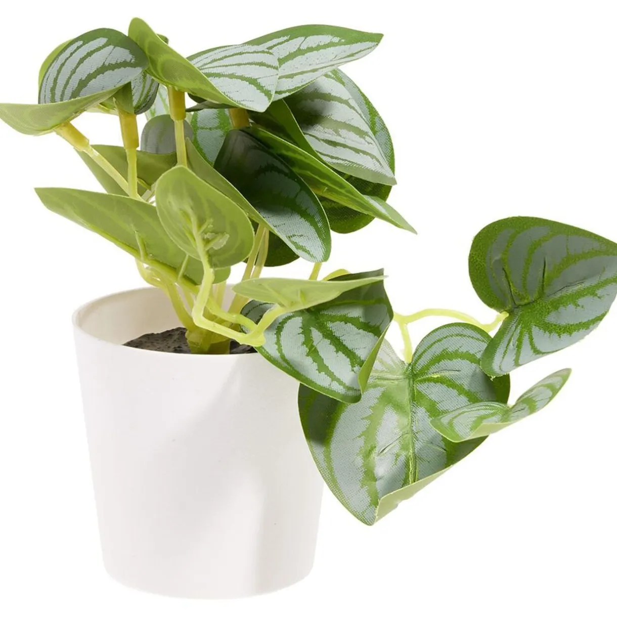 Plante artificielle verte dans pot Ø6xH13cm < Gifi Clearance