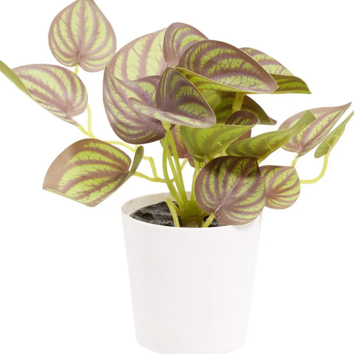 Plante artificielle verte dans pot Ø6xH13cm < Gifi Clearance