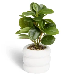 Plante artificielle verte pot ciment blanc Ø12xH28cm < Gifi Hot