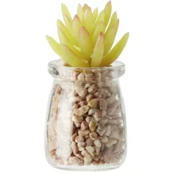 Plante en pot avec cailloux Ø5,5 cm < Gifi