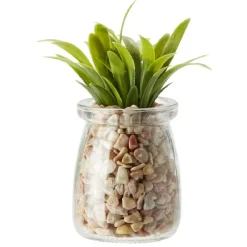 Plante en pot avec cailloux Ø5,5 cm < Gifi