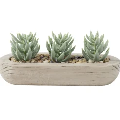 Plante grasse artificielle base ovale ciment imitation bois 18x8xH8cm (2 modèles)