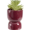 Plante grasse artificielle dans pot argile Ø6,5xH12cm (3 modèles)