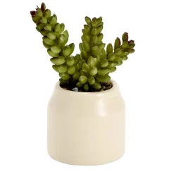 Plante grasse artificielle dans pot dolomite uni Ø6xH8cm (4 modèles) < Gifi Online
