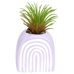 Plante grasse artificielle H9cm pot ciment (3 modèles) < Gifi Discount