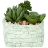 Plante grasse artificielle pot céramique style panier effet pierre