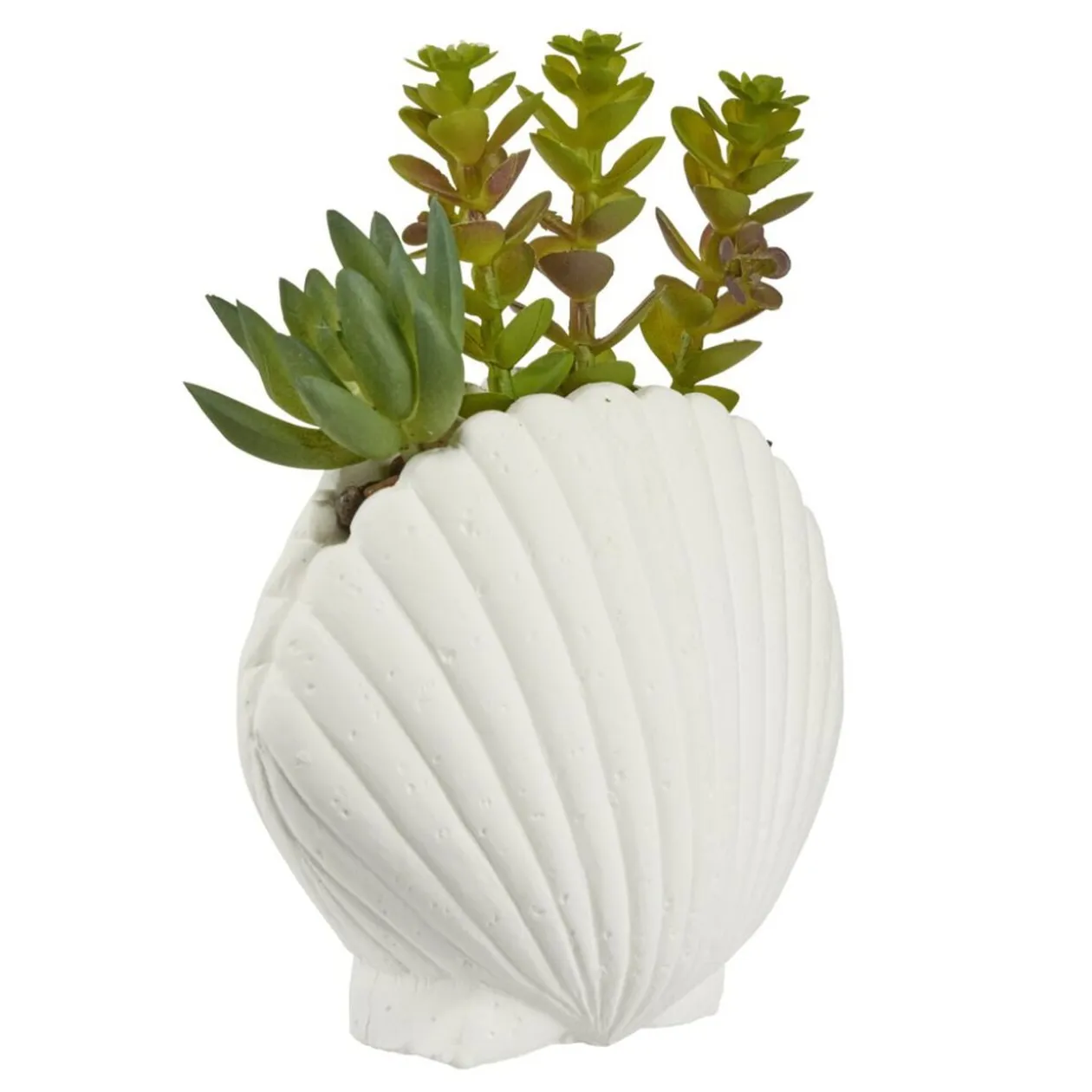 Plante grasse artificielle pot ciment forme coquillage blanc H15,5cm (2 modèles)