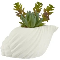 Plante grasse artificielle pot ciment forme coquillage blanc H15,5cm (2 modèles)