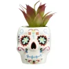 Plante verte artificielle Halloween Calavera pot céramique blanc Ø8xH12cm (2 modèles)