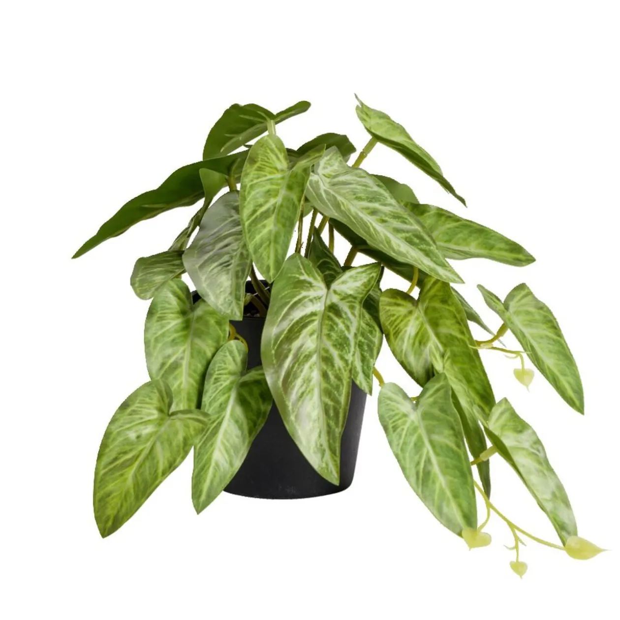 Plante verte artificielle pot noir H17cm - 2 modèles
