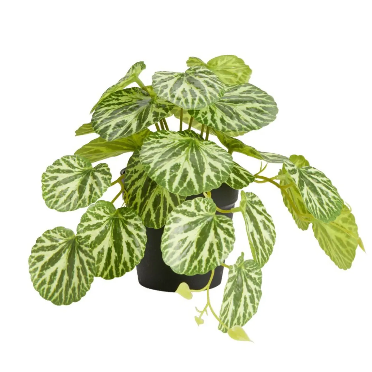 Plante verte artificielle pot noir H17cm - 2 modèles