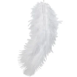 Plume blanche x10 < Gifi Clearance