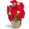Poinsettia lumineux H23cm < Gifi Discount