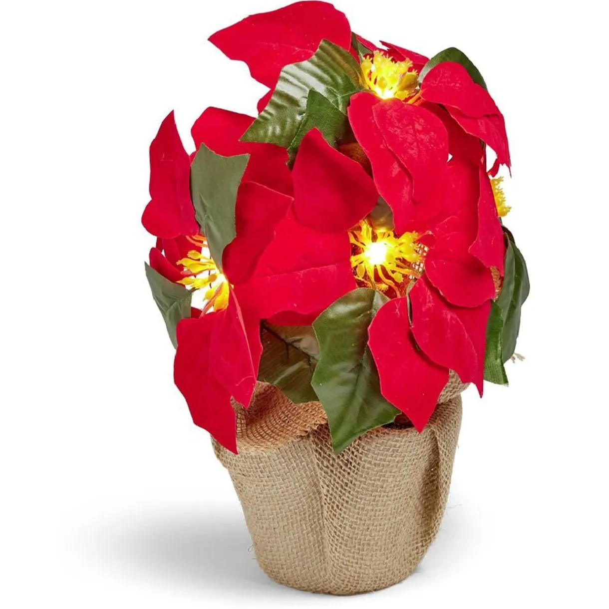 Poinsettia lumineux H23cm < Gifi Discount