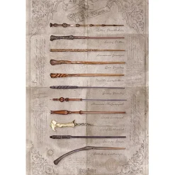 Poster Harry Potter - The Wand Chooses The Wizard