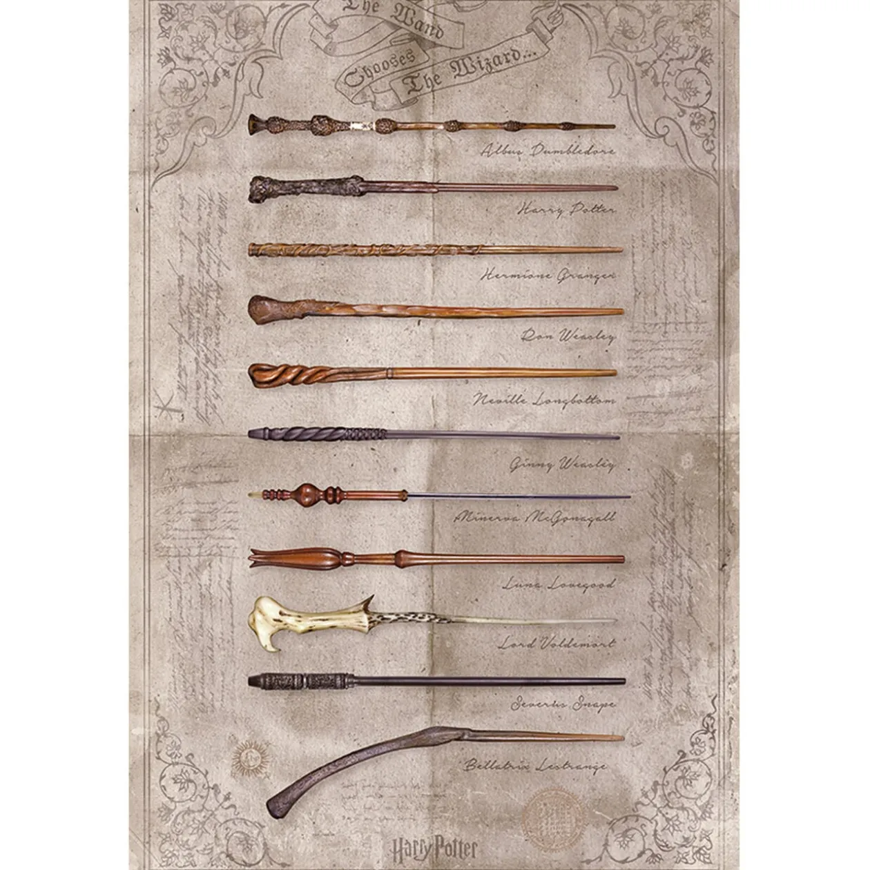 Poster Harry Potter - The Wand Chooses The Wizard