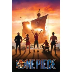 Poster One Piece Live Action 91,5x61cm