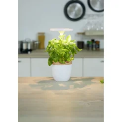 Potager d'intérieur à éclairage led CECOA < Gifi Outlet