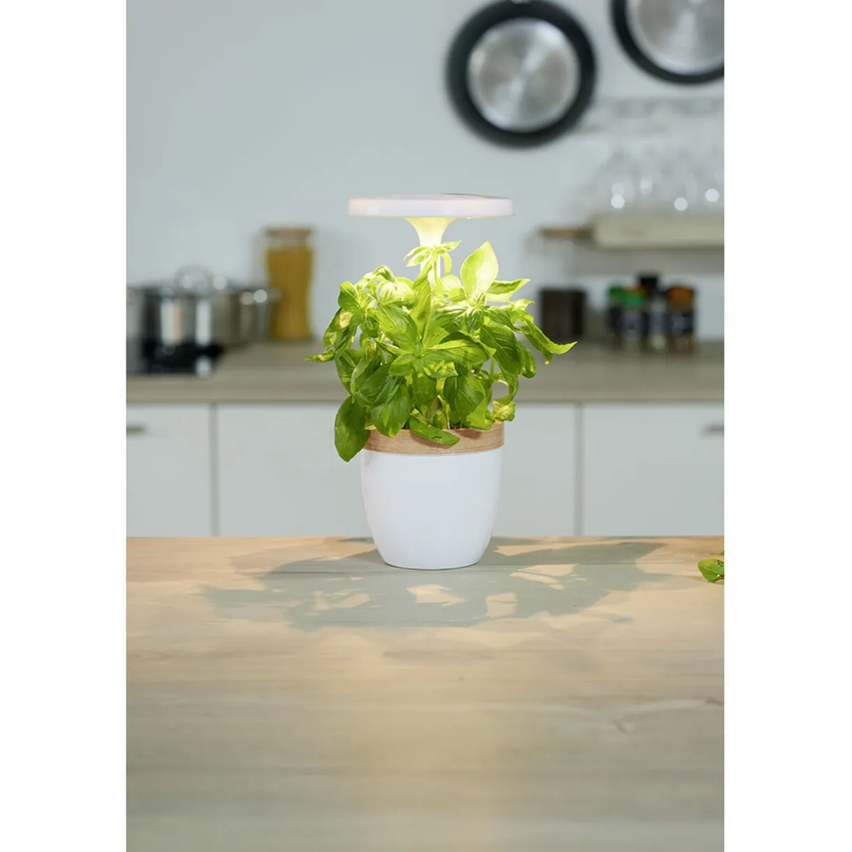Potager d'intérieur à éclairage led CECOA < Gifi Outlet