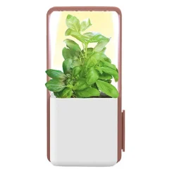 Potager intérieur clipsable avec kit de démarrage