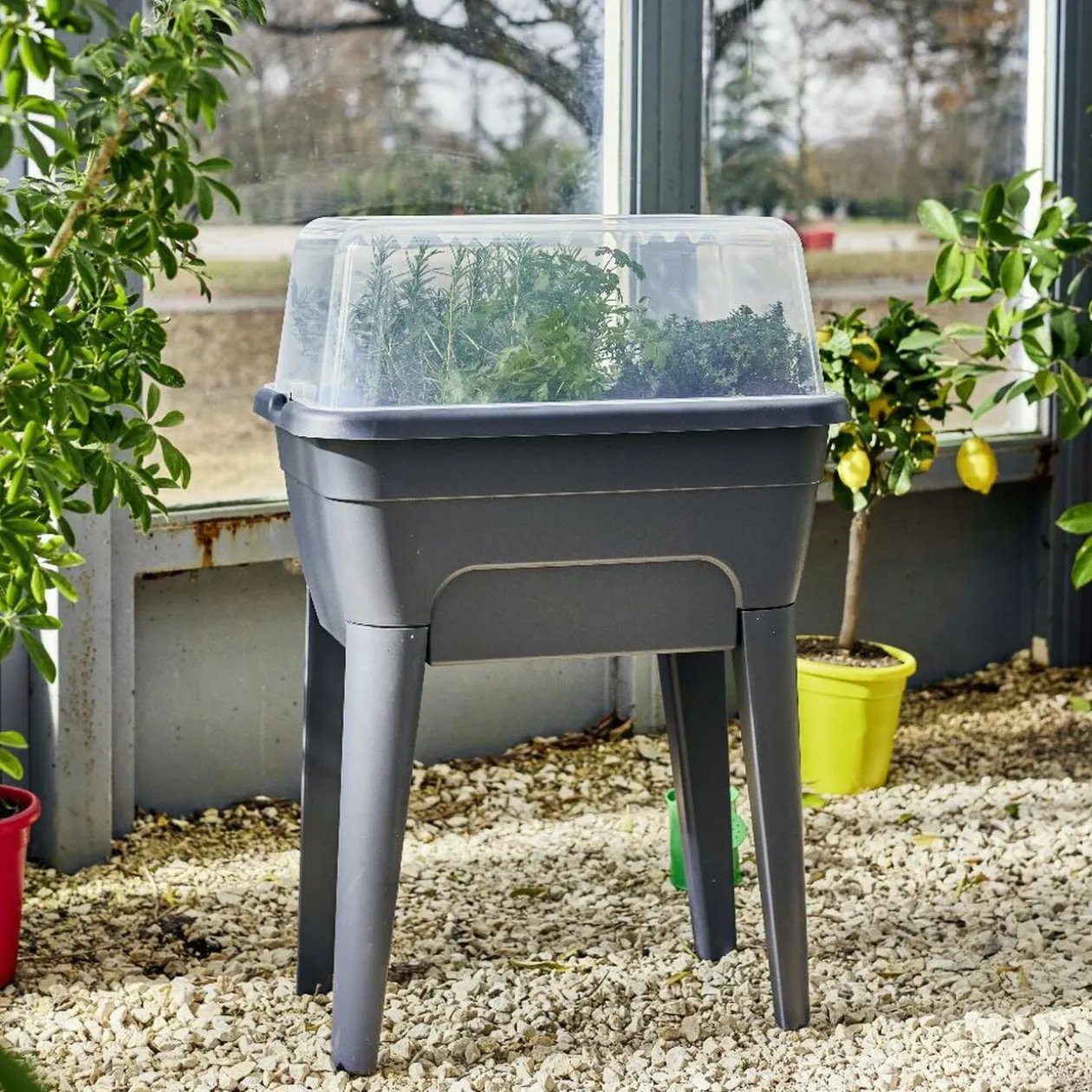 Potager sur pied effet serre Gary plastique gris 59x39xH86,5cm