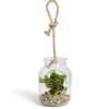 Pot en verre LED avec plante artificielle succulente Ø11,5xH15,5cm < Gifi New