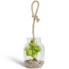 Pot en verre LED avec plante artificielle verte Ø11,5xH15,5cm < Gifi Hot
