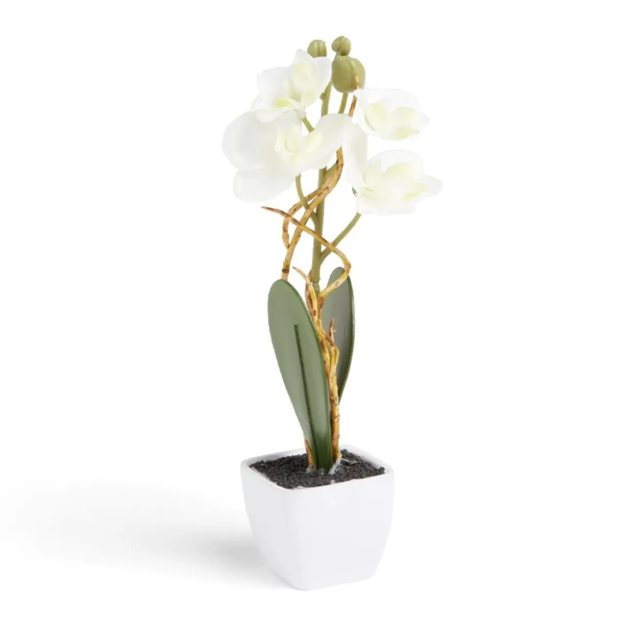 Pot orchidée artificielle blanche H16cm