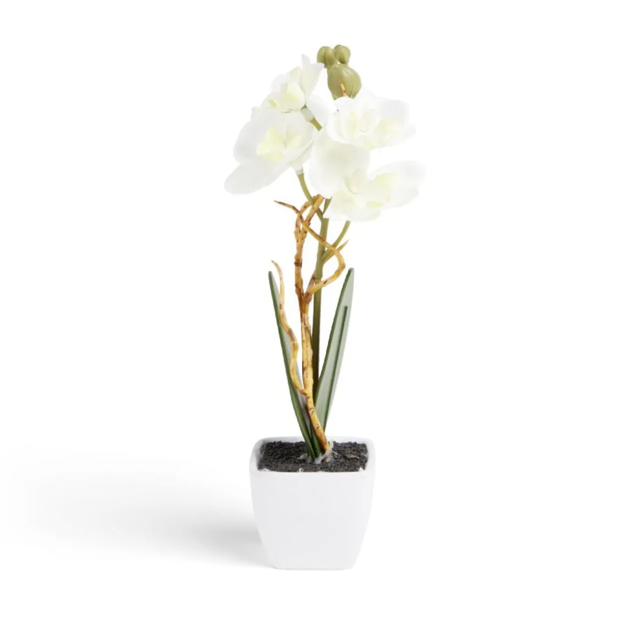 Pot orchidée artificielle blanche H16cm