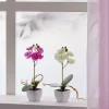 Pot orchidée artificielle rose H16cm < Gifi Sale