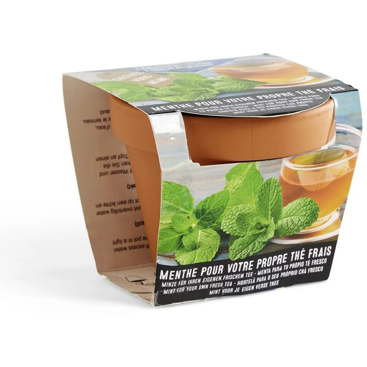 Pot terre cuite culture menthe avec graines et terreau H8.5cm