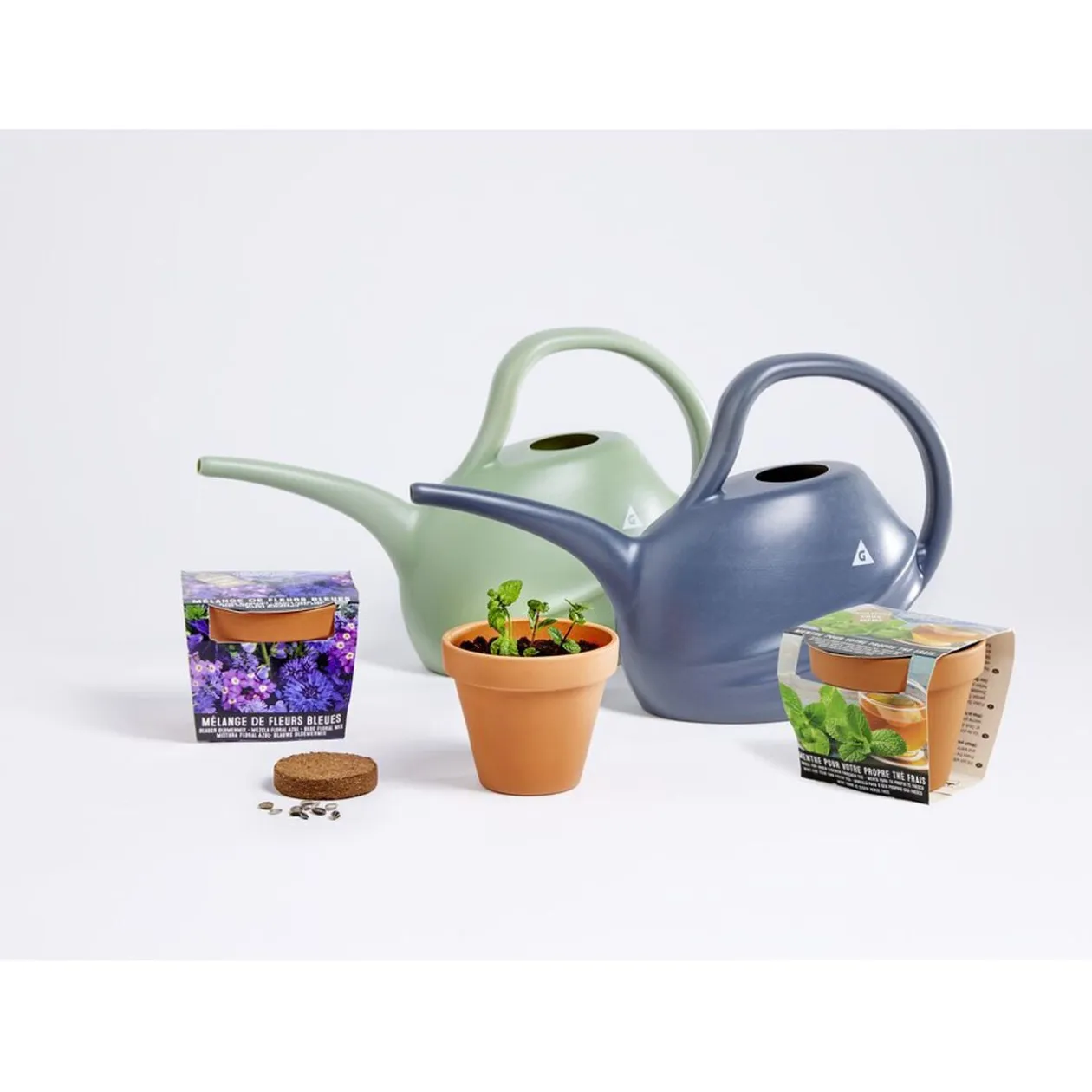 Pot terre cuite culture menthe avec graines et terreau H8.5cm
