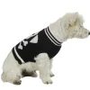 Pull motif tête de mort déguisement Halloween pour chien Taille M