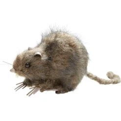 Rat noir ou marron décoration Halloween < Gifi New