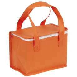 Sac fraîcheur 4,5L 22x16xH15cm < Gifi