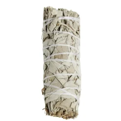 Sauge blanche Ø2,5xL10cm