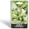 Semence basilic doux classique 0,5g