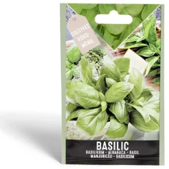Semence basilic doux classique 0,5g