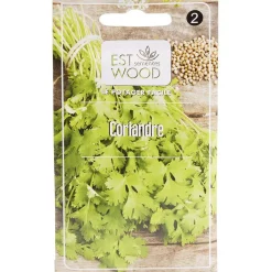 Semence Coriandre Bio 3g < Gifi New