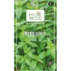 Semence Menthe poivrée vert 1 gr