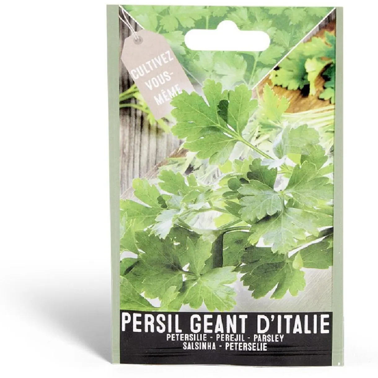 Semence persil géant d'Italie 1g < Gifi New